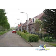 Wardstraat Spijk F00002644